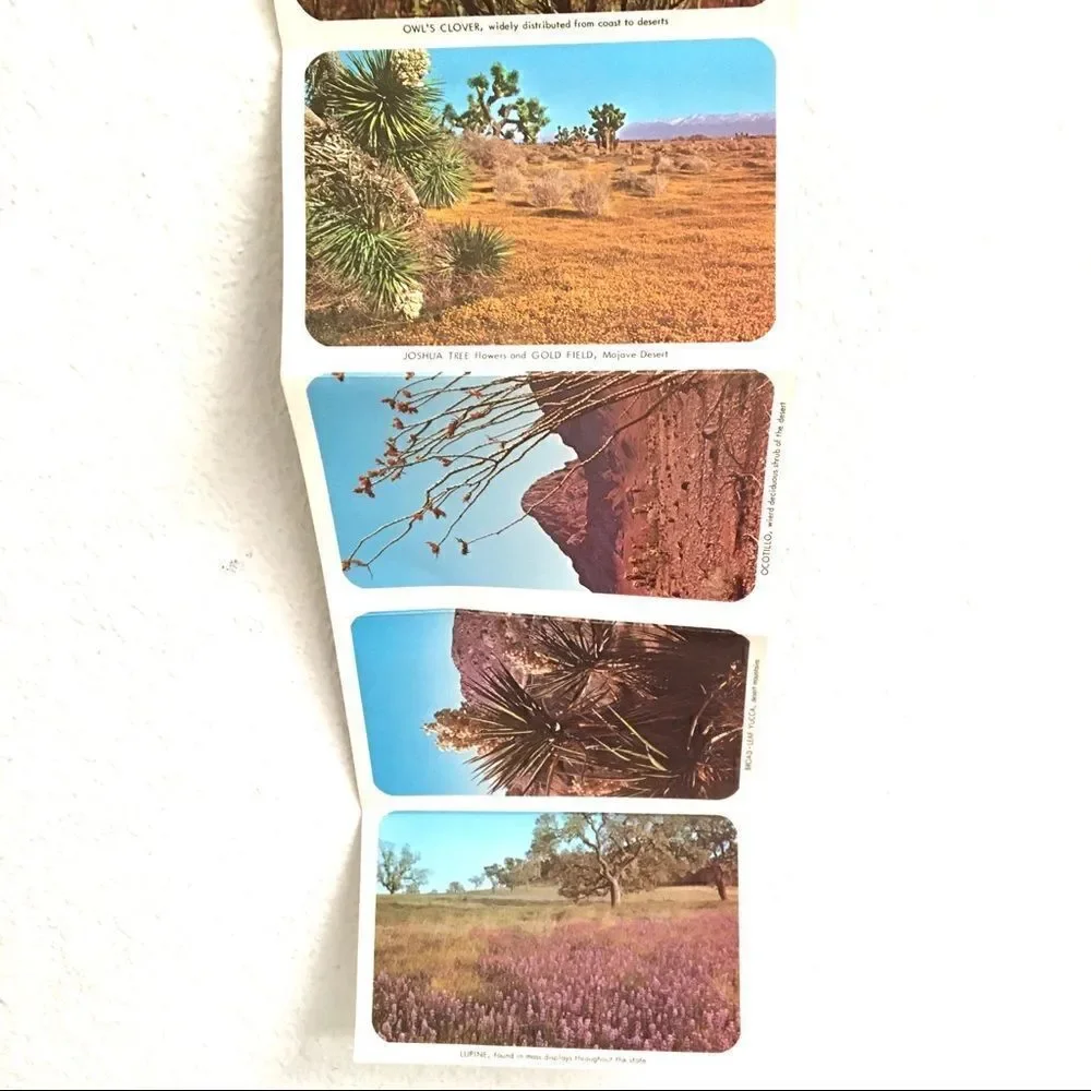 Vintage California wildflower postcard set‎